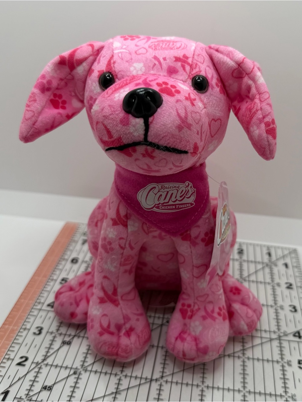 Raising Canes Pink Dog